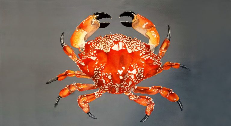 IMG20221023163306 copia 2